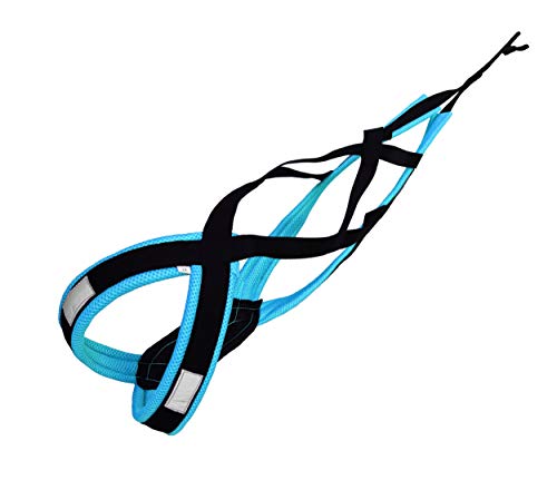 LASALINE Arnes de Tiro para Perros para Canicross, Mushing,...