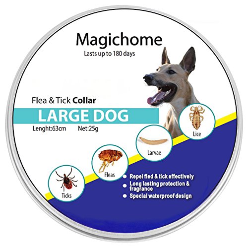 Magichome Collar Antiparasitario para Perros contra Pulgas,...