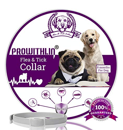Collar Antiparasitario para Perros contra Pulgas, Garrapatas Y...
