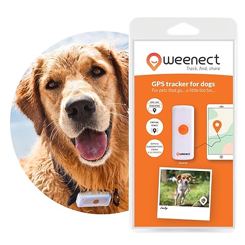 Weenect Dogs 2 - Rastreador GPS para Perros | Seguimiento GPS en...