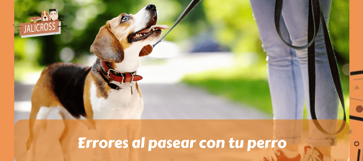 Errores al pasear con tu perro