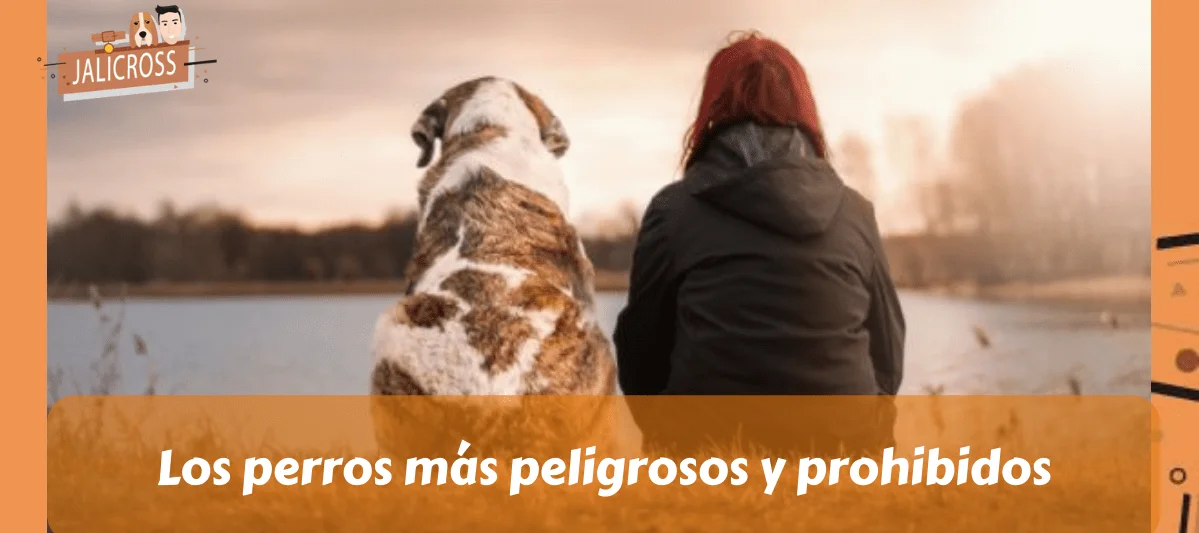 Perros más peligrosos y prohibidos