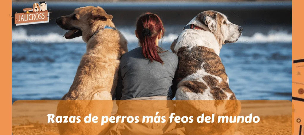 Razas de perros más feos del mundo