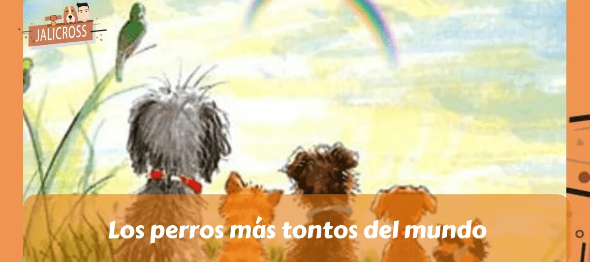 Los perros más tontos del mundo